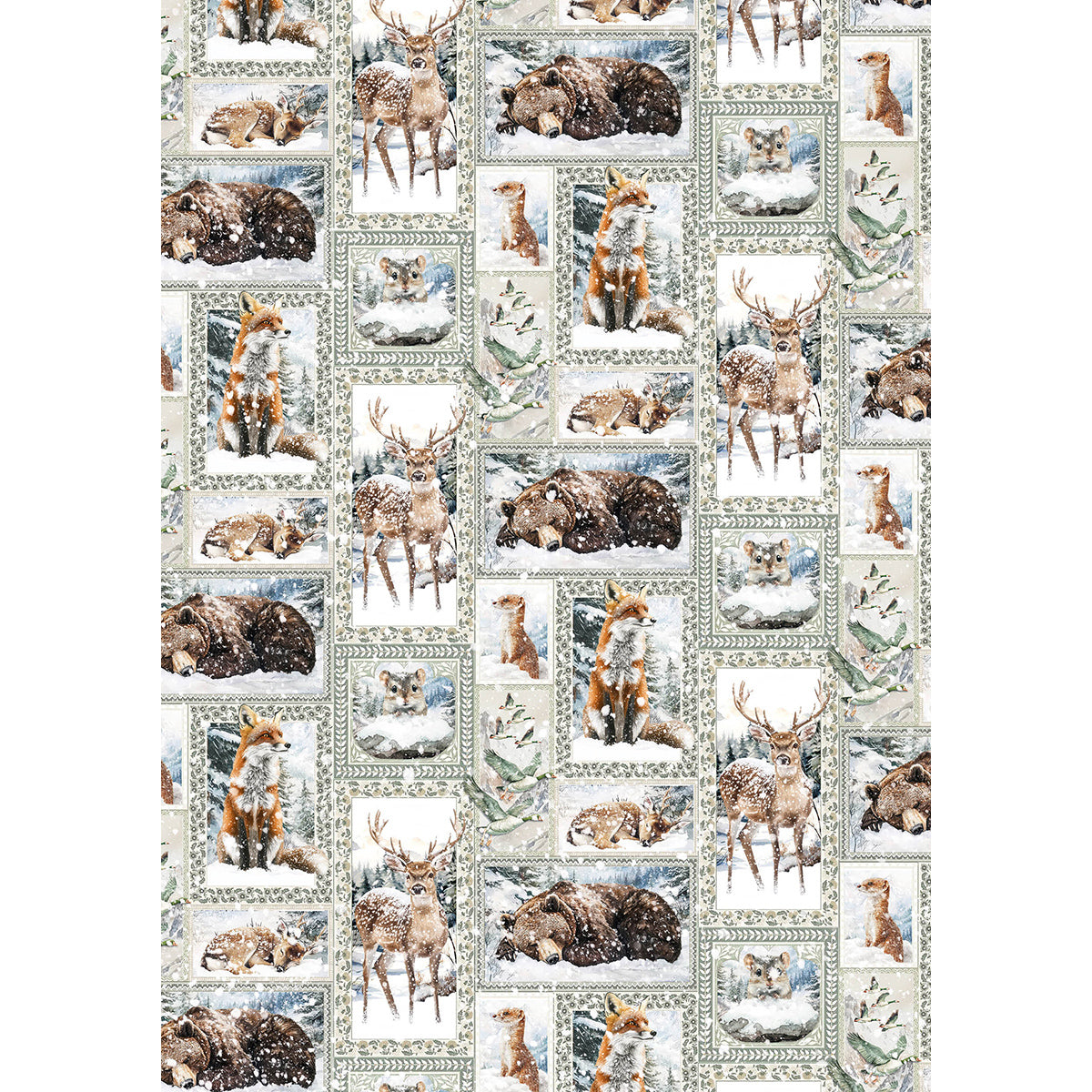 Ciao Bella FOREST TALES A5 Assorted Rice Paper Selection Decoupage 8 sheets #CBRS024