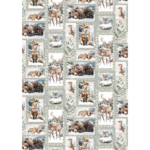 Ciao Bella FOREST TALES A5 Assorted Rice Paper Selection Decoupage 8 sheets #CBRS024