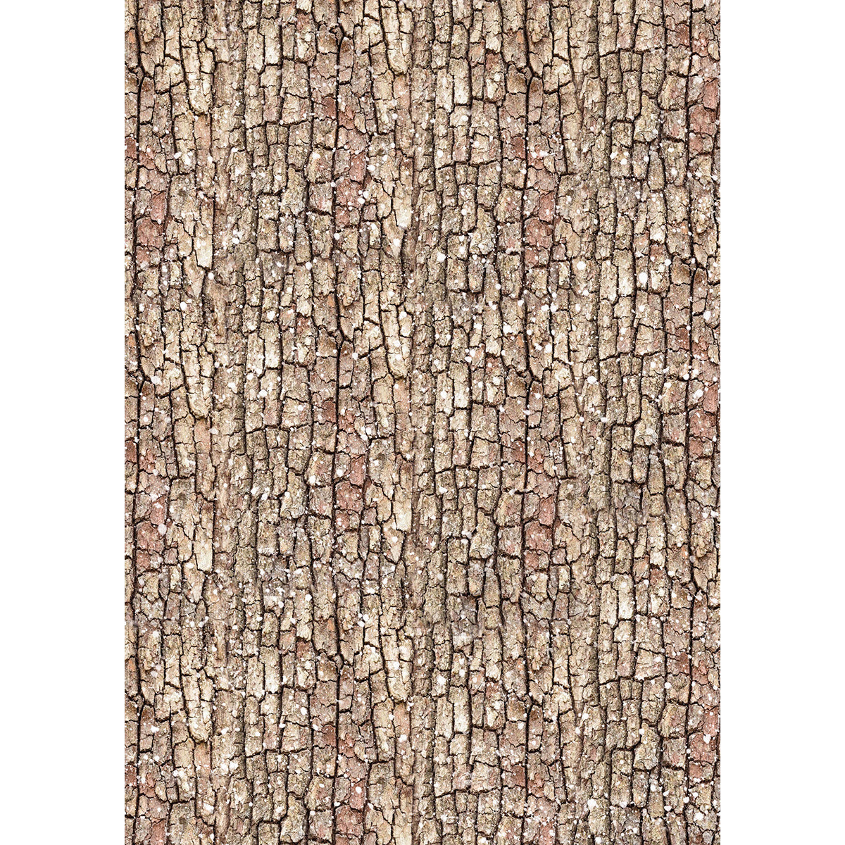 Ciao Bella FOREST TALES A5 Assorted Rice Paper Selection Decoupage 8 sheets #CBRS024