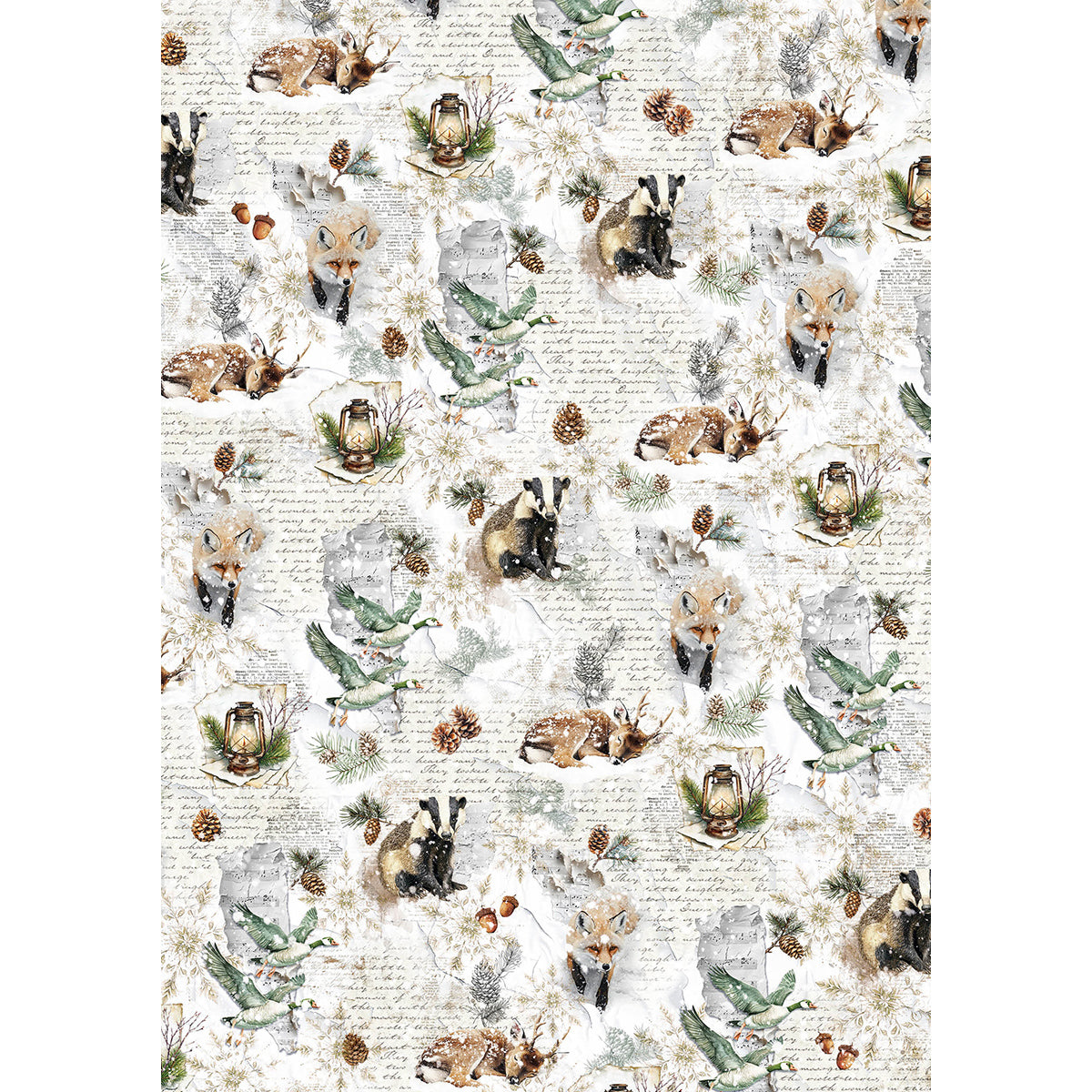 Ciao Bella FOREST TALES A5 Assorted Rice Paper Selection Decoupage 8 sheets #CBRS024