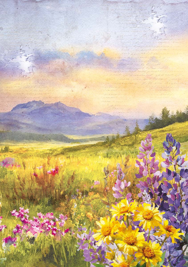 Ciao Bella YELLOWSTONE A5 Assorted Rice Paper Selection Decoupage 8 sheets #CBRS033