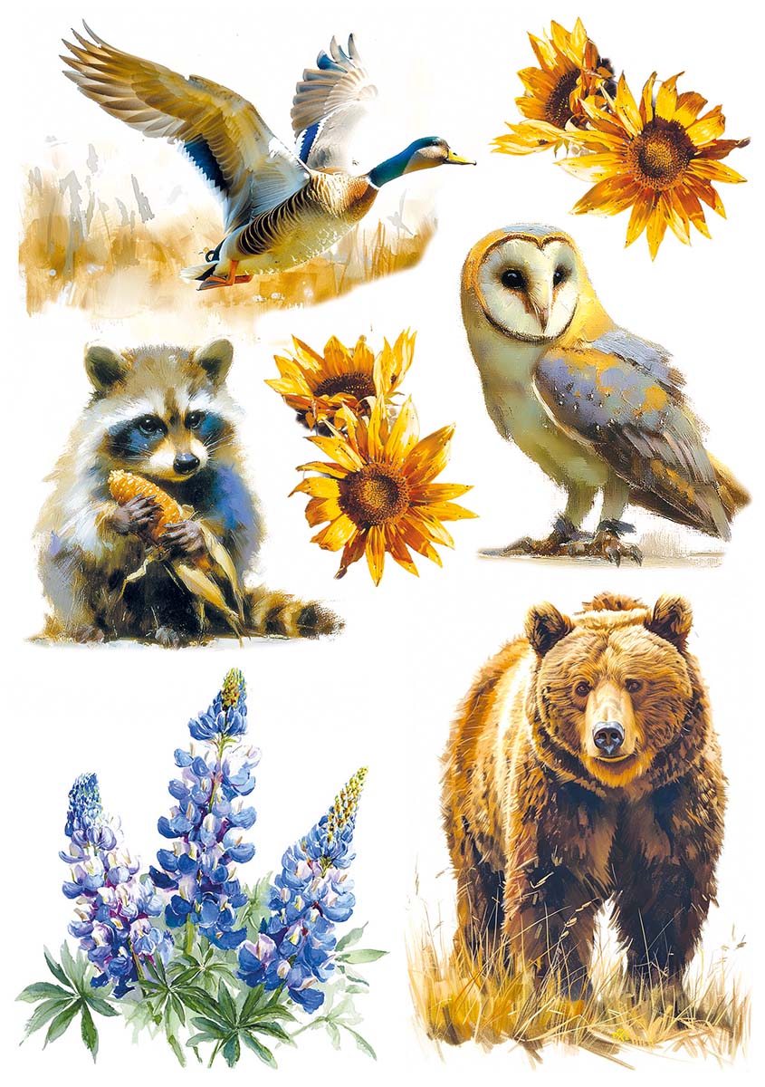 Ciao Bella YELLOWSTONE A5 Assorted Rice Paper Selection Decoupage 8 sheets #CBRS033