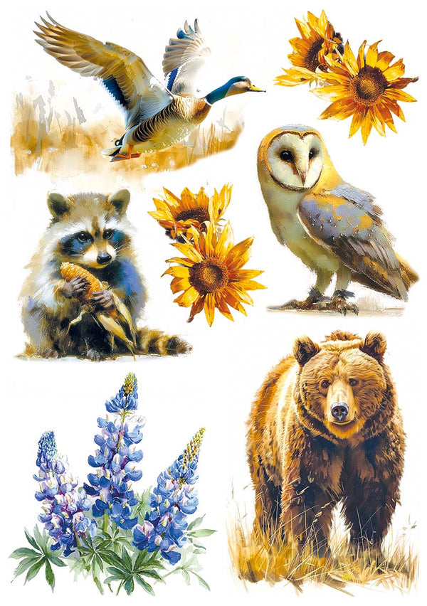 Ciao Bella YELLOWSTONE A5 Assorted Rice Paper Selection Decoupage 8 sheets #CBRS033