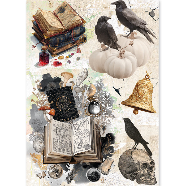 Ciao Bella THE WITCH'S GRIMOIRE - Halloween - A5 Assorted Rice Paper Selection Decoupage 8 sheets #CBRS048