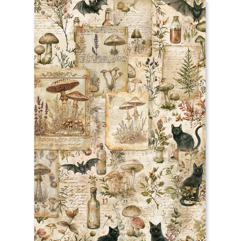Ciao Bella THE WITCH'S GRIMOIRE - Halloween - A5 Assorted Rice Paper Selection Decoupage 8 sheets #CBRS048