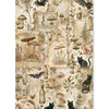 Ciao Bella THE WITCH'S GRIMOIRE - Halloween - A5 Assorted Rice Paper Selection Decoupage 8 sheets #CBRS048