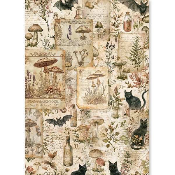 Ciao Bella THE WITCH'S GRIMOIRE - Halloween - A5 Assorted Rice Paper Selection Decoupage 8 sheets #CBRS048