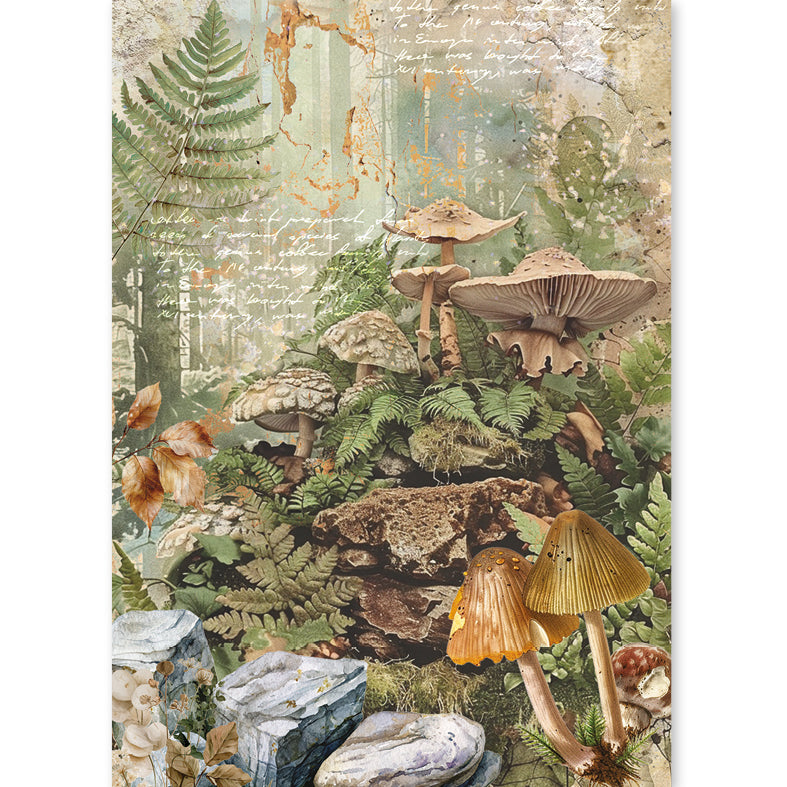 Ciao Bella THE NATURE JOURNAL - A5 Assorted Rice Paper Selection Decoupage 8 sheets #CBRS049