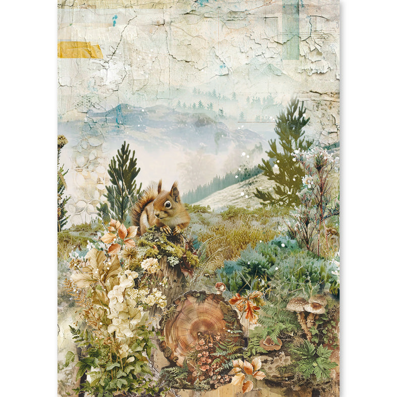 Ciao Bella THE NATURE JOURNAL - A5 Assorted Rice Paper Selection Decoupage 8 sheets #CBRS049