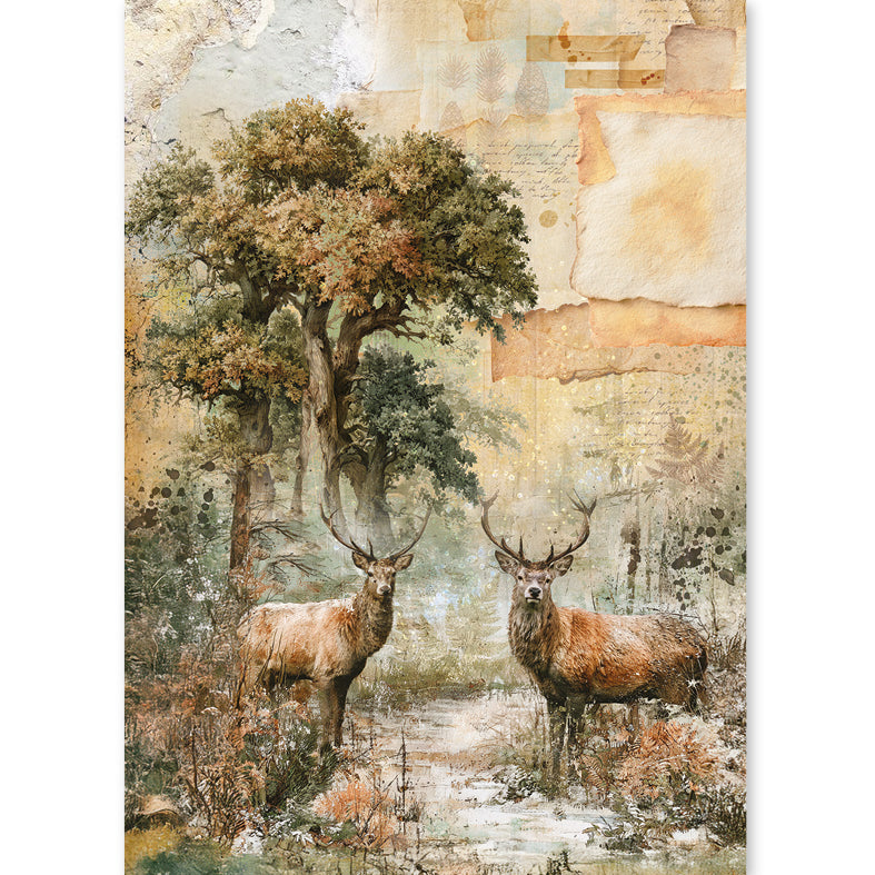 Ciao Bella THE NATURE JOURNAL - A5 Assorted Rice Paper Selection Decoupage 8 sheets #CBRS049