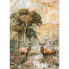 Ciao Bella THE NATURE JOURNAL - A5 Assorted Rice Paper Selection Decoupage 8 sheets #CBRS049