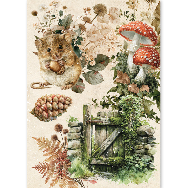 Ciao Bella THE NATURE JOURNAL - A5 Assorted Rice Paper Selection Decoupage 8 sheets #CBRS049