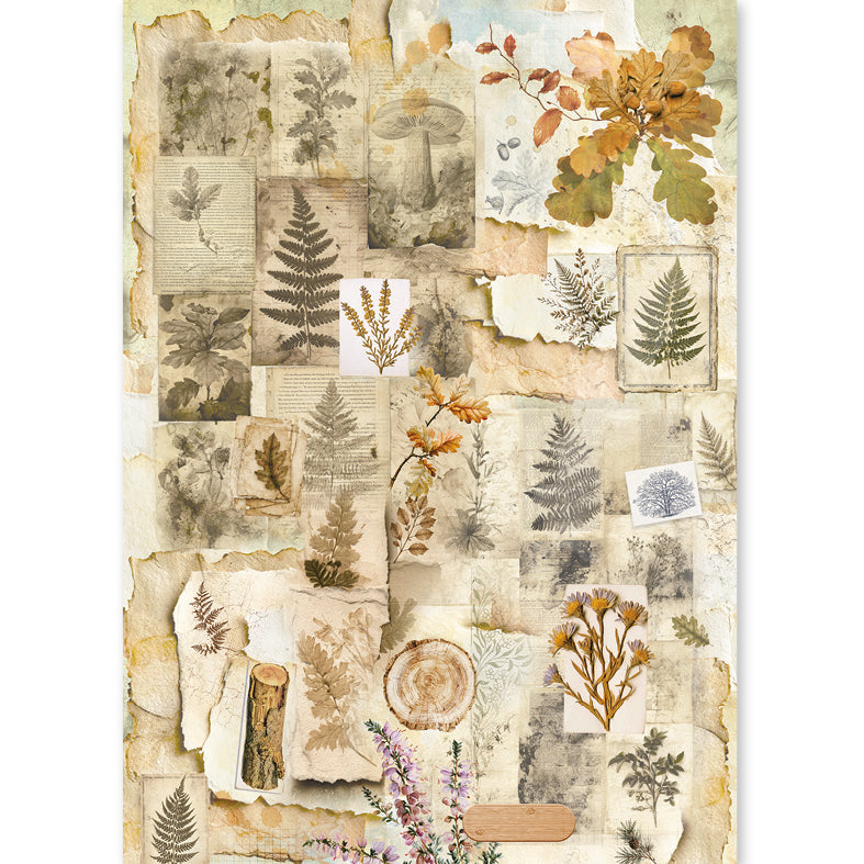 Ciao Bella THE NATURE JOURNAL - A5 Assorted Rice Paper Selection Decoupage 8 sheets #CBRS049