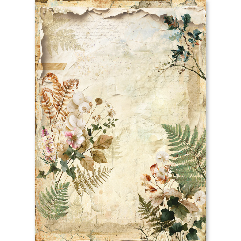 Ciao Bella THE NATURE JOURNAL - A5 Assorted Rice Paper Selection Decoupage 8 sheets #CBRS049