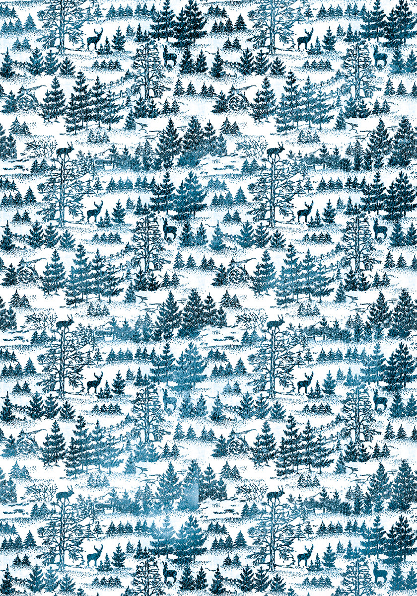 Ciao Bella WINTER JOURNEY A4 Vellum Paper 6 sheets #CBV007