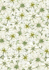 Ciao Bella SPARKLING CHRISTMAS A4 Vellum Paper 6 sheets #CBV008