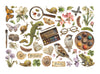 PRE-ORDER / RE-ORDER Stamperia ALL AROUND Adhesive Paper Cut Outs EPHEMERA #DFLCT81