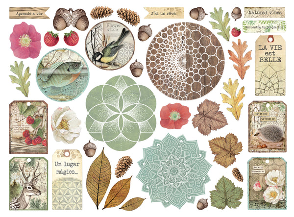 Stamperia FOREST Die Cuts Chipboard Shapes #DFLDC105