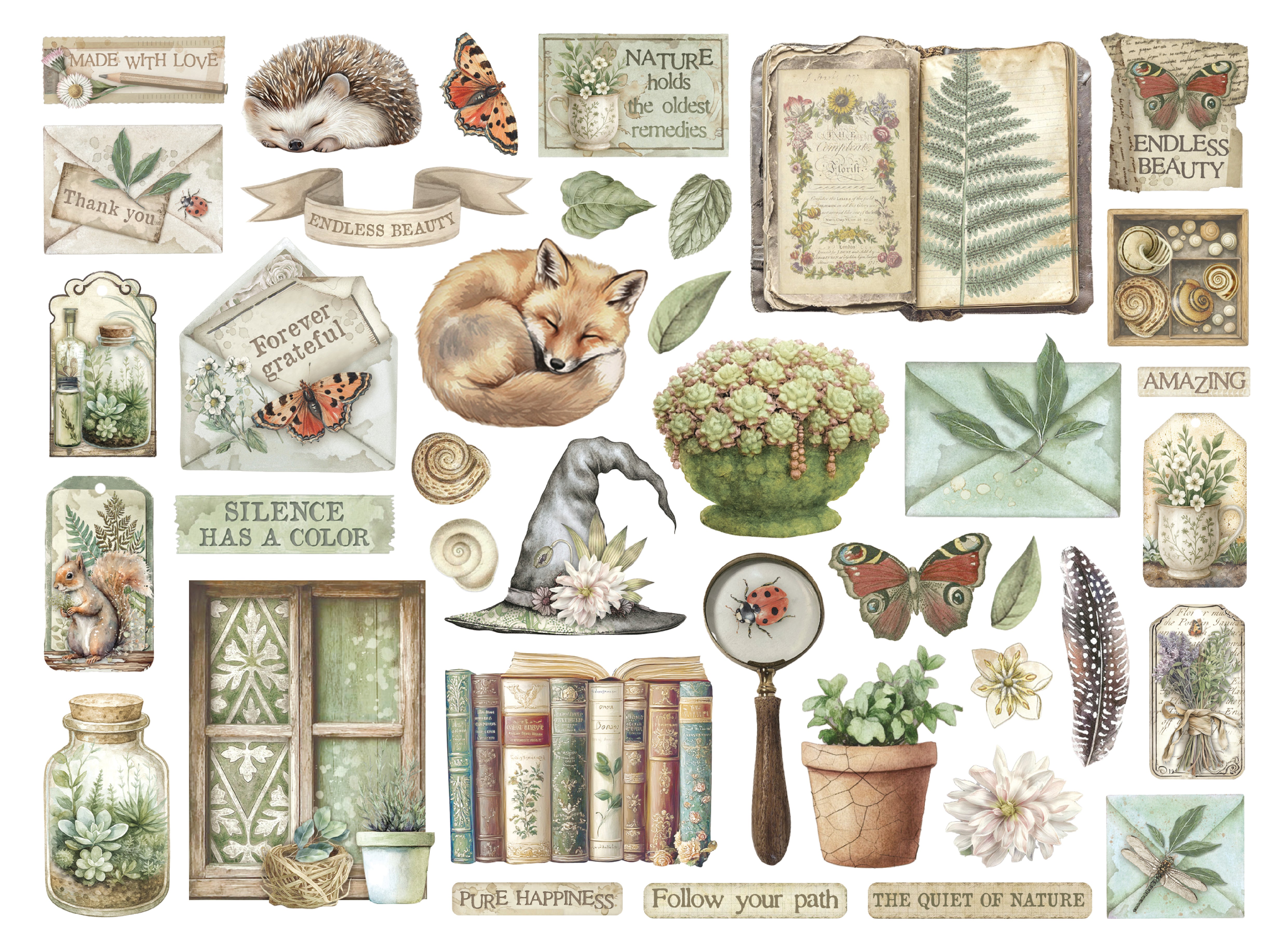 Collection of nature-themed illustrations including animals, plants, and books on a white background.