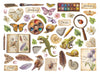 PRE-ORDER / RE-ORDER Stamperia ALL AROUND Die Cuts Chipboard Shapes #DFLDC133