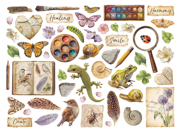PRE-ORDER / RE-ORDER Stamperia ALL AROUND Die Cuts Chipboard Shapes #DFLDC133