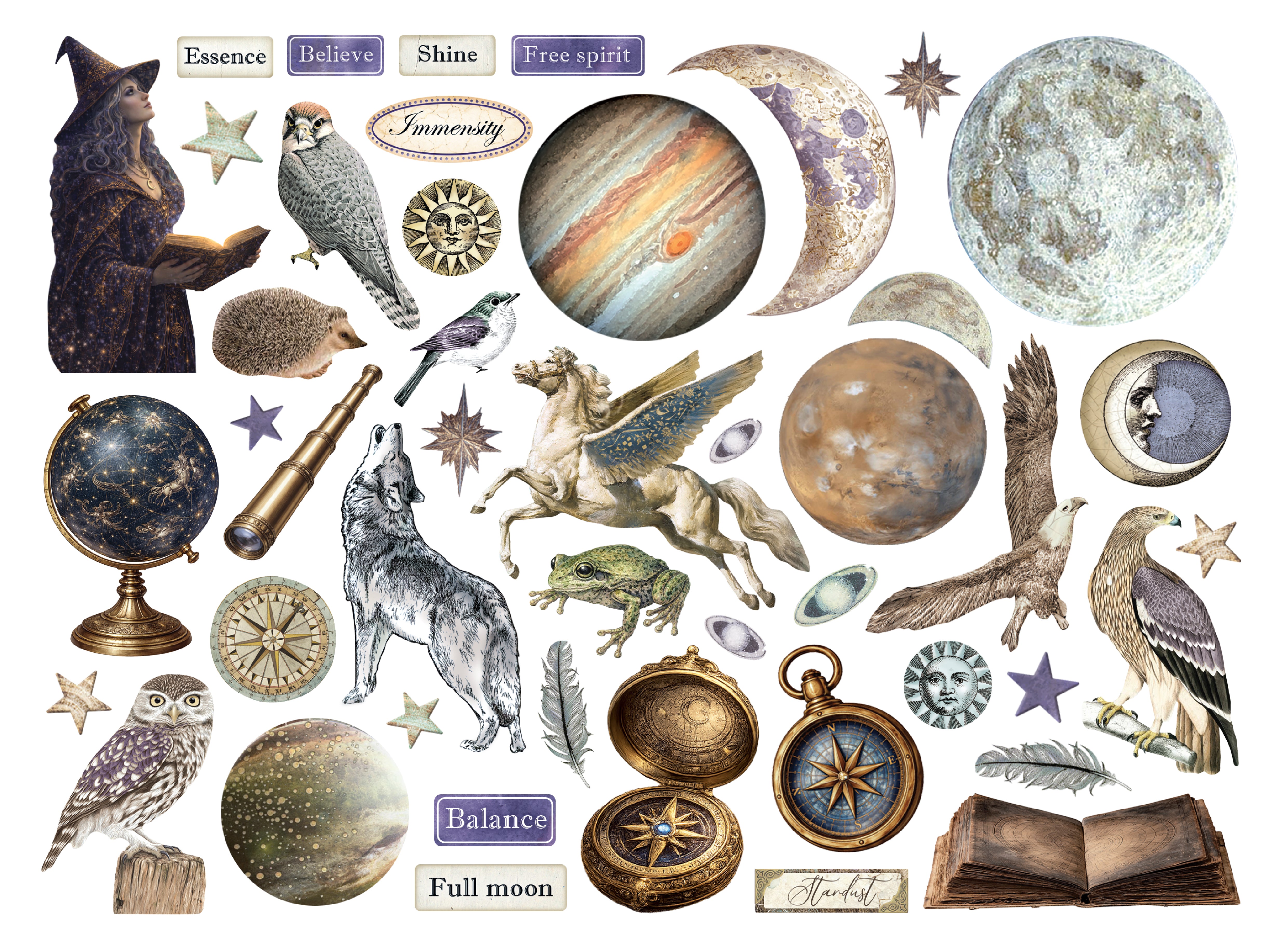 Stamperia COSMOS Die Cuts Chipboard Shapes #DFLDC142 - NEW