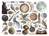 Stamperia COSMOS Die Cuts Chipboard Shapes #DFLDC142 - NEW