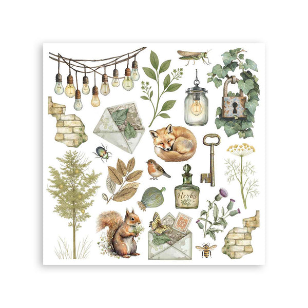 Stamperia HERBARIUM SILVAE Rub On ASSORTMENT KIT #DFLRBX02