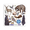 Stamperia COSMOS Rub On 6.1" X 6.1" ASSORTMENT KIT Small #DFLRBX22