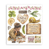 Stamperia ALL AROUND Rub On ASSORTMENT KIT #DFLRBX14