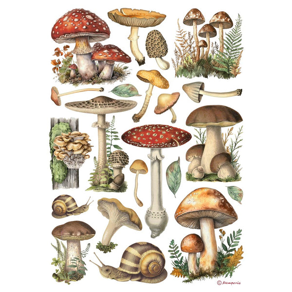 STAMPERIA MUSHROOMS - Best Sellers Decoupage Rice Paper A4 #DFSA41000