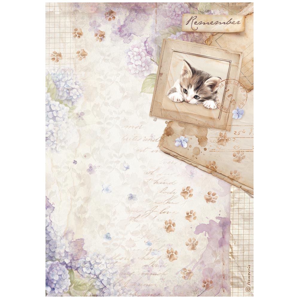 Decorative paper with a kitten illustration and 'Remember' text on a floral and paw print background.