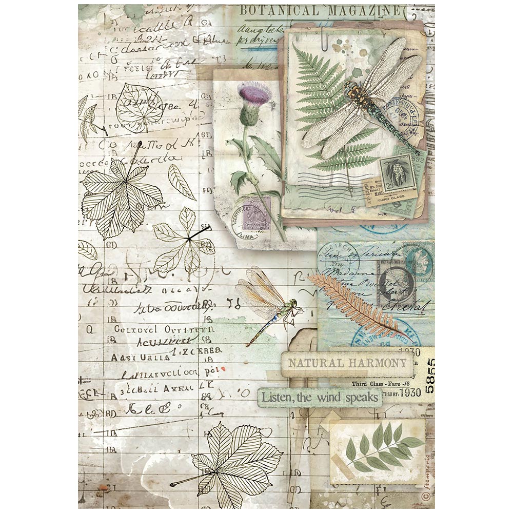 Decorative paper with botanical illustrations, dragonflies, and text on a white background