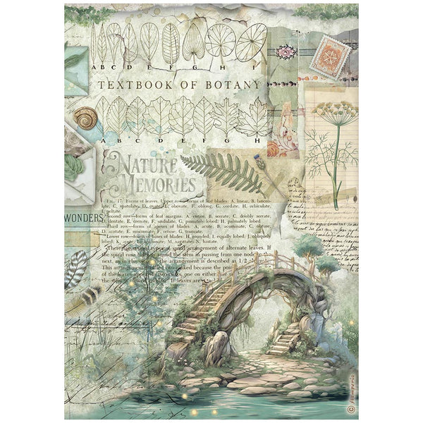 Textbook of Botany design with nature-themed elements and a bridge over water.