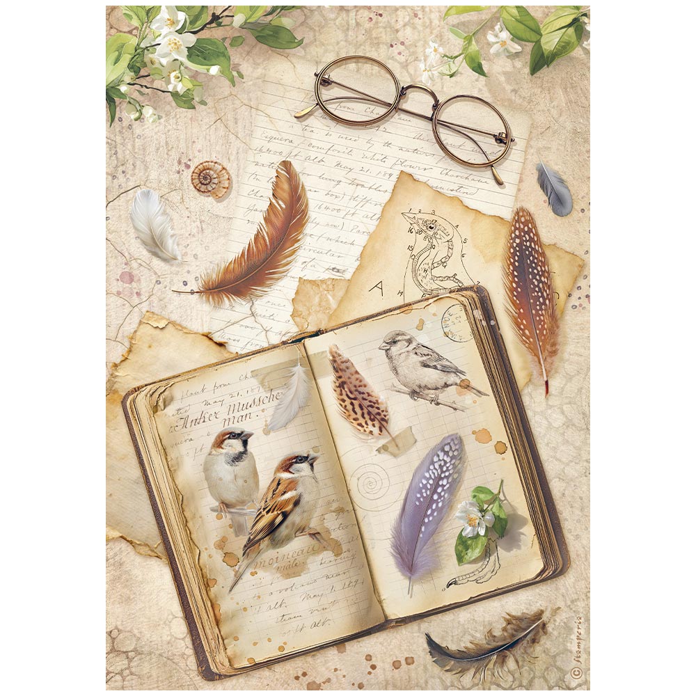 Stamperia ALL AROUND - BOOK - Decoupage Rice Paper A4 #DFSA41118