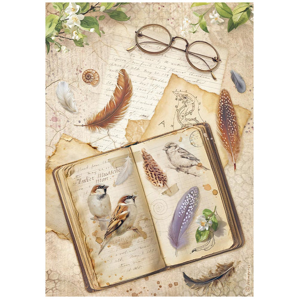 Stamperia ALL AROUND - BOOK - Decoupage Rice Paper A4 #DFSA41118
