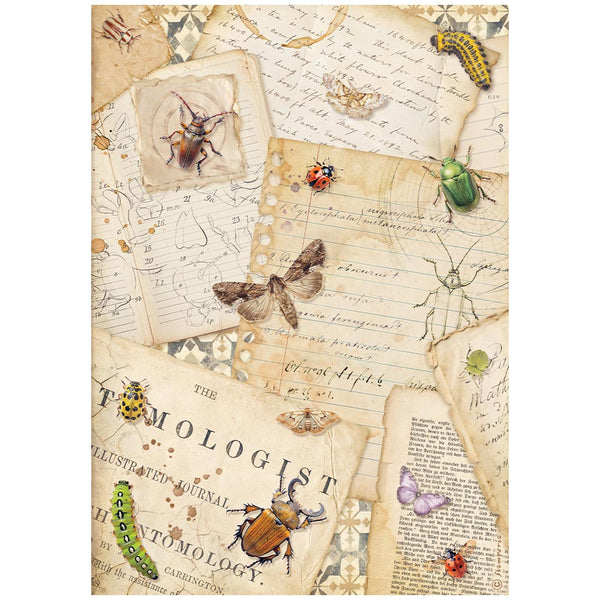 Stamperia ALL AROUND - LETTERS - Decoupage Rice Paper A4 #DFSA41119