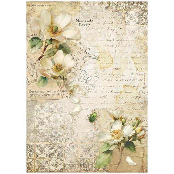 Stamperia ALL AROUND CAMELLIA - Decoupage Rice Paper A4 #DFSA41120
