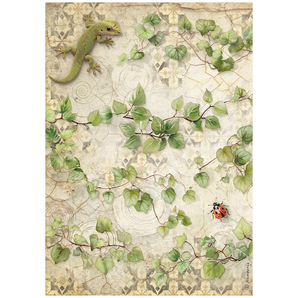Stamperia ALL AROUND IVY - Decoupage Rice Paper A4 #DFSA41121