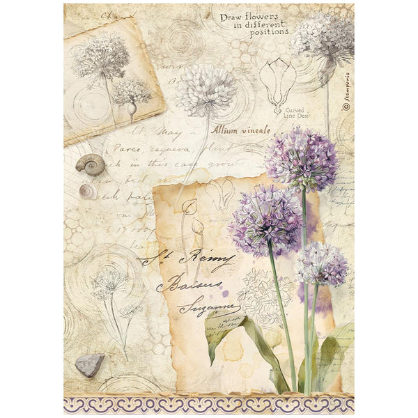 Stamperia ALL AROUND - ALLIUM - Decoupage Rice Paper A4 #DFSA41122