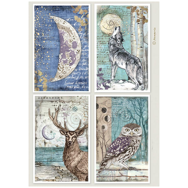 Stamperia COSMOS - 4 CARDS - Decoupage Rice Paper A4 #DFSA41153