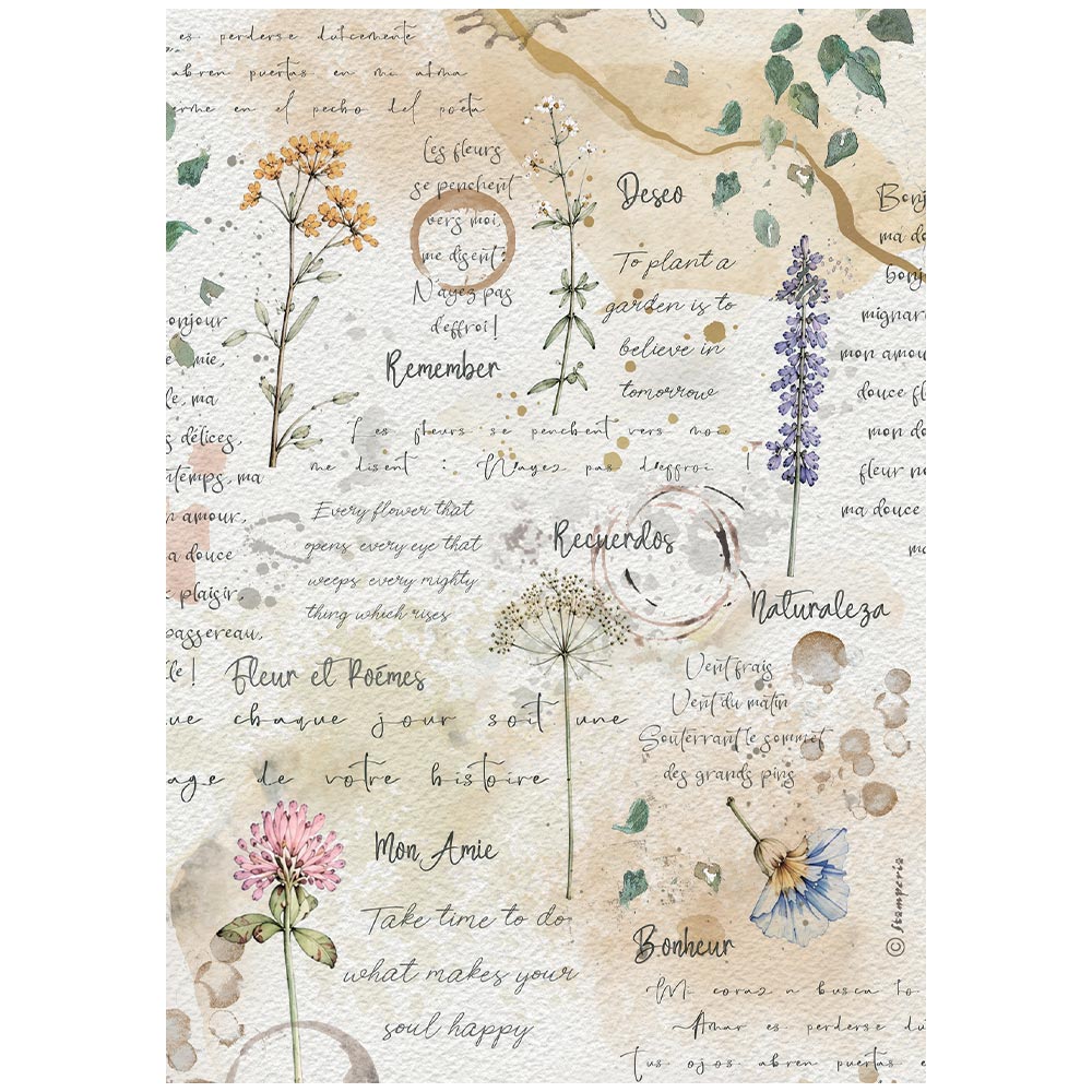 Stamperia FLOWERS and POEMS - FLOWERS and WRITINGS - Decoupage Rice Paper A4 #DFSA41160