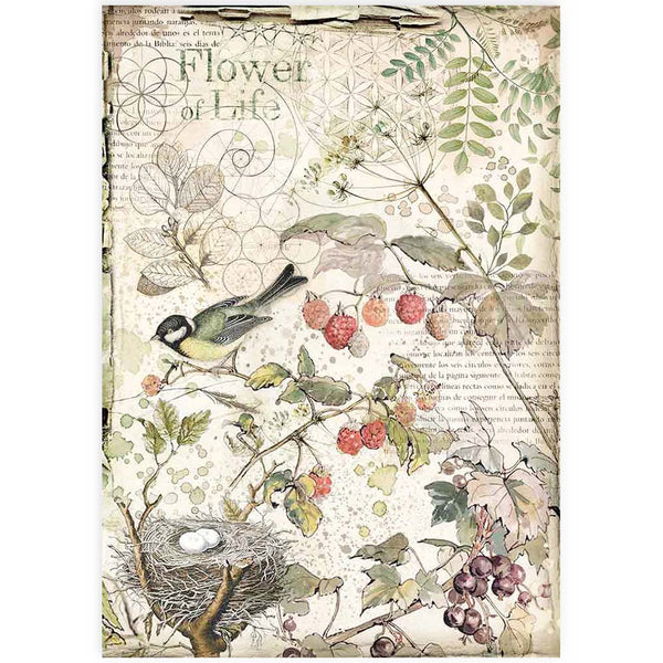 Stamperia Best Sellers Forest FLOWERS AND FRUITS A4 Decoupage Rice Paper #DFSA4459