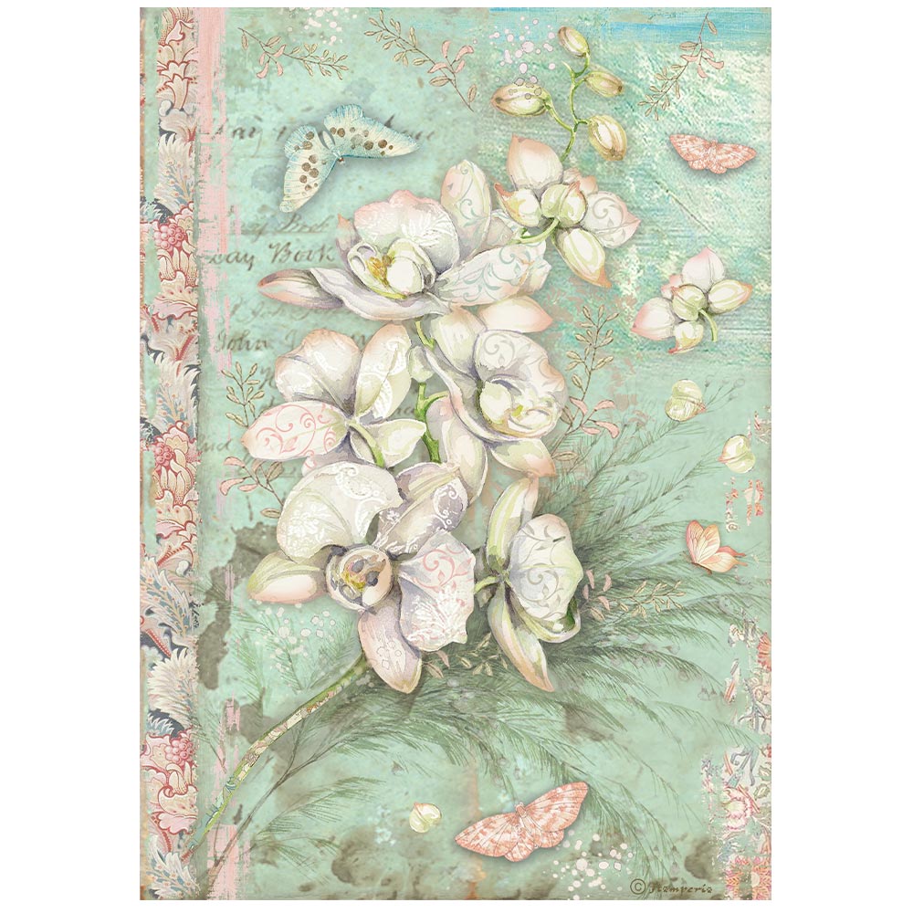 STAMPERIA Orchids and Cats WHITE ORCHID A4 Decoupage Rice Paper #DFSA4848