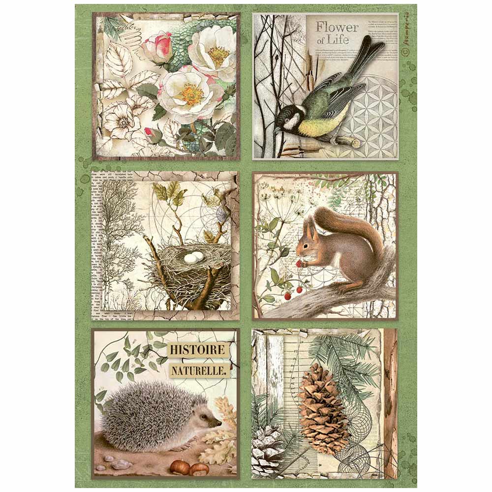 STAMPERIA FOREST 6 CARDS A4 Decoupage Rice Paper #DFSA4952