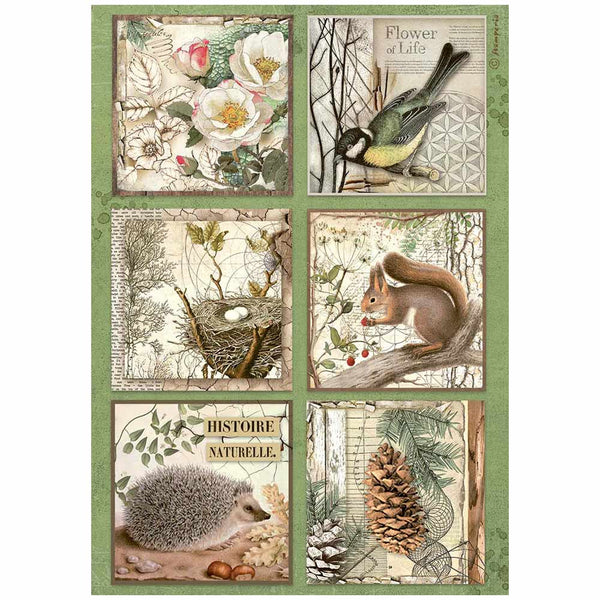 STAMPERIA FOREST 6 CARDS A4 Decoupage Rice Paper #DFSA4952