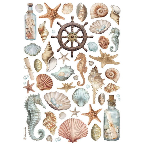 STAMPERIA SHELLS - Best Sellers Decoupage Rice Paper A4  DFSA4998