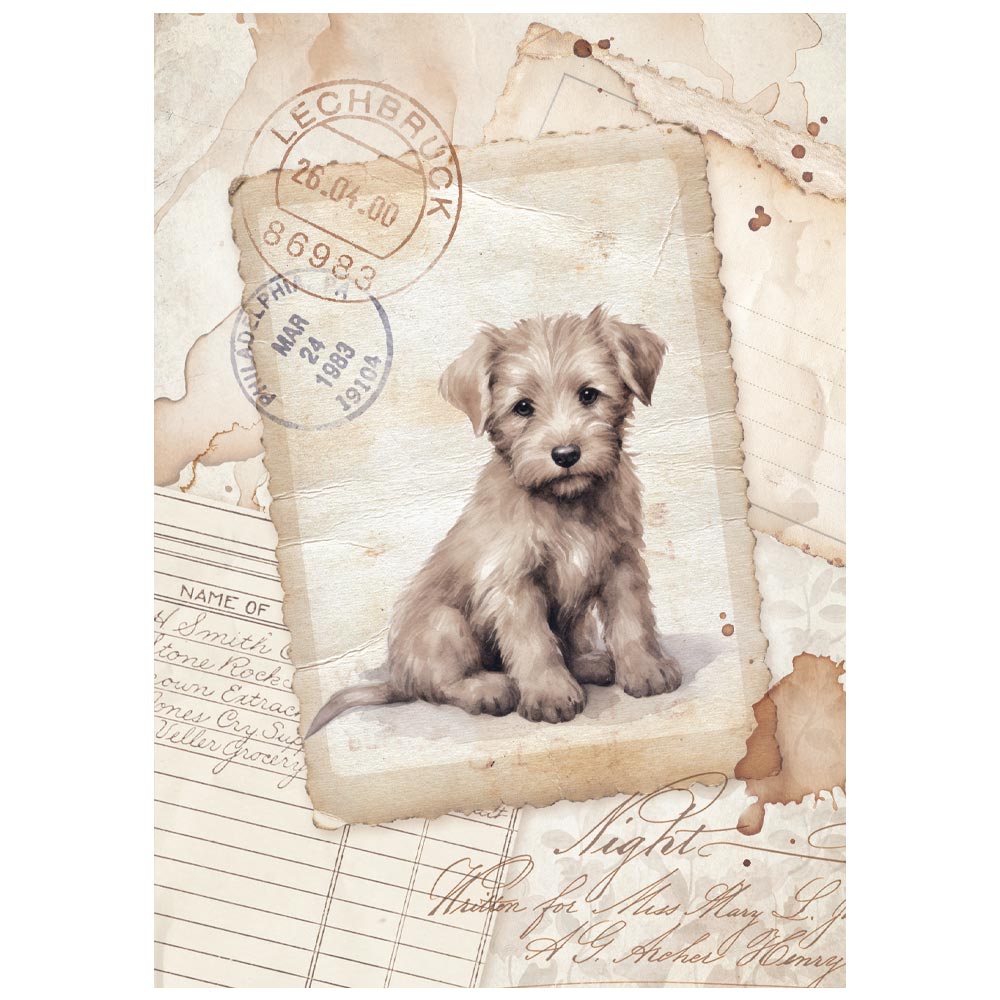 Stamperia QUIET DAYS MINI A6 Assorted Decoupage Rice Paper 8 sheets #DFSAK6X01