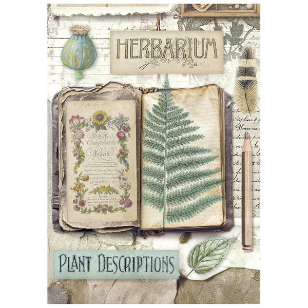 Stamperia HERBARIUM SILVAE MINI A6 Assorted Decoupage Rice Paper 8 sheets #DFSA6X02