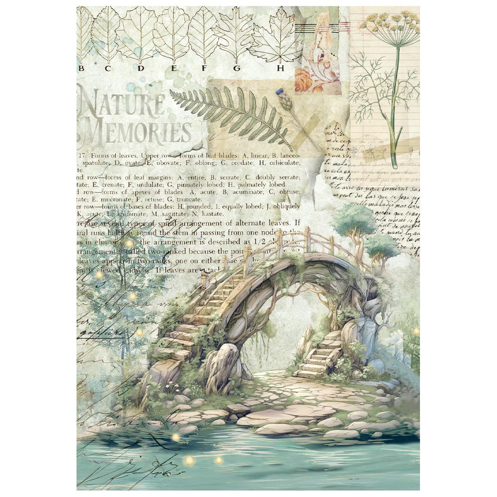 Stamperia HERBARIUM SILVAE MINI A6 Assorted Decoupage Rice Paper 8 sheets #DFSA6X02